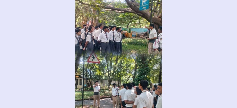 Traffic Awareness Program 
